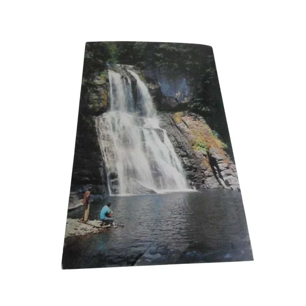 Vintage Postcard unposted Bushkill Falls, PA 1960s